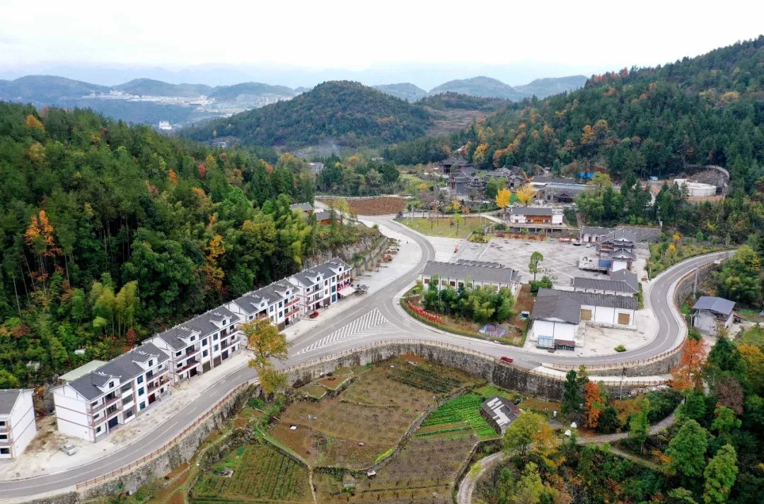 探讨数字货币在农业领域的潜力：如何优化供应链与资源分配_区块链数字货币交易平台_区块链数字货币概念股