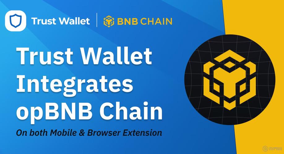 数字资产必备Trust Wallet，官网下载教程来啦