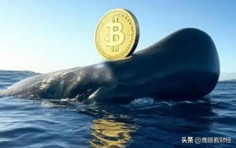 比特币买问决定投资是否正确_问：我现在应该买比特币吗？决定比特币是否是一项好的投资_比特币买比特币