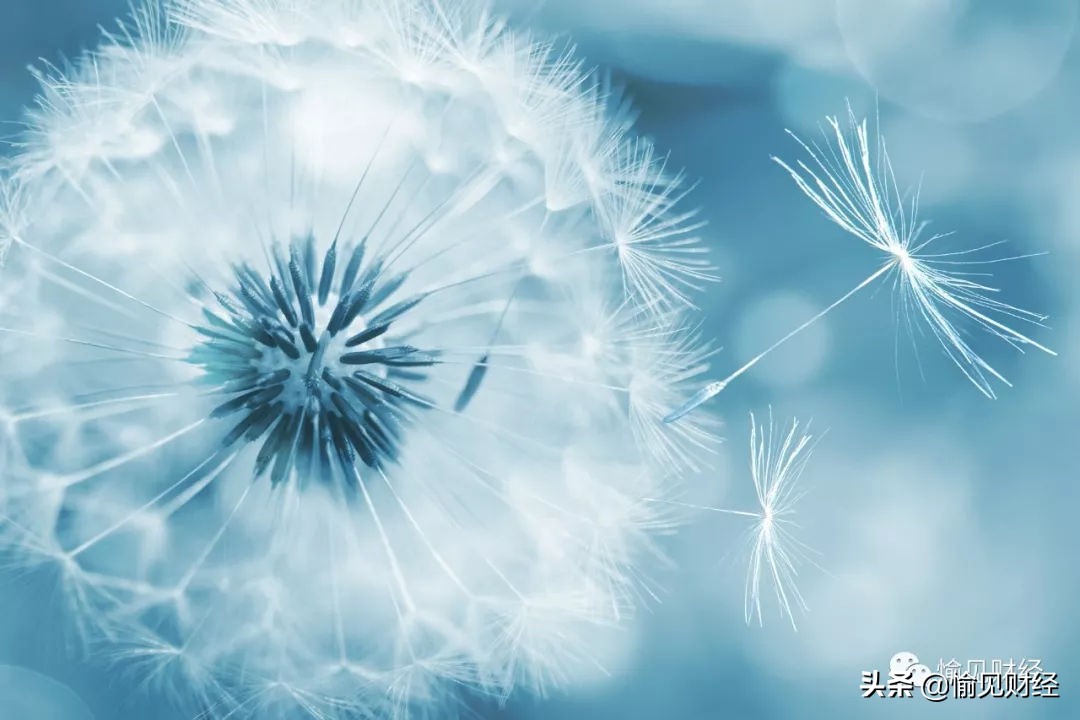 买比特币算投资吗_比特币买问决定投资是否正确_问：我现在应该买比特币吗？决定比特币是否是一项好的投资